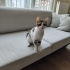 Derin Çok tatlı. fotoğraf