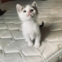 Minik yakışıklı prensime yuva arıyorum fotoğraf