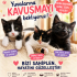 5 haftalıklar, sokak görmediler, anne sütü ile büyüdüler fotoğraf