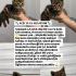 Bebek kediye Acil yuva fotoğraf