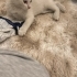 Miraç 2 aylık bebek anne süti emdi gayet sağlıklı fotoğraf