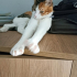 ÜZÜM ÖMÜRLÜK YUVA ARIYOR fotoğraf