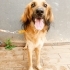 Güzel kızımız Lina Sıcak Yuvasını Arıyor fotoğraf