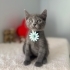 Minik tatlı kızımız fotoğraf