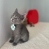 Minik tatlı kızımız fotoğraf