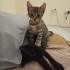 2 güzel  2  aylıl minnoş fotoğraf