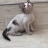 Lokum size gelsin mi fotoğraf