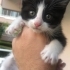 BEN FELİX AİLEM OLUR MUSUNUZ fotoğraf