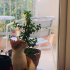 Pars - Oyunbaz ve enerjik fotoğraf