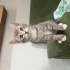Sevecen yavruya kalıcı yuva arıyoruz fotoğraf