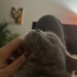 Mundo'ya onun gibi sevgi dolu bir yuva arıyorum fotoğraf