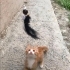 Ömürlük Yuvamı Arıyorum! fotoğraf