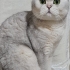 Yakışıklı Oğluma Yuva Arıyorum fotoğraf