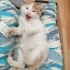 ÇOK ACİL! YARIN SOKAĞA DÖNMEK ZORUNDA! fotoğraf