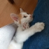 ÇOK ACİL! YARIN SOKAĞA DÖNMEK ZORUNDA! fotoğraf