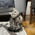 Acil sahiplendirme fotoğraf