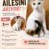 3aylik oyuncu dişi kedi fotoğraf