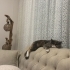 UYSAL KIZIM HERA fotoğraf