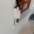 1 yaşında aşıları tam kısır evlat yuva ariyor fotoğraf