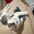 Uykucu , uyumlu, biraz da oyuncu bir kedi fotoğraf