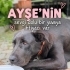 Ayşe’nin ÇOK ACİL sevgi dolu bir yuvaya ihtiyacı var 🥺 fotoğraf