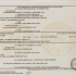 ŞAMPİYON LEO'NUN TORUNLARI YUVALARINI ARIYOR(whatsapp hattıdır ordan ulaşabilirs fotoğraf