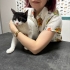 Sevimli milkamiz fotoğraf