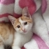 YUVAM OLUR MUSUNUZ fotoğraf
