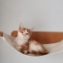 YUVAM OLUR MUSUNUZ fotoğraf