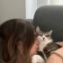 Çok zeki kedi, yurtdışına taşınma süreci oldugumdan ilgilenemiyorum. fotoğraf