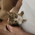 Acil Yuva! Kucak delisi, mırıl mırıl bir minik prens. fotoğraf