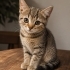 BİR KLİNİK ODASINDA ÖMÜRLÜK AİLELERİNİ BEKLİYORLAR. fotoğraf