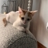 Cesur oğlumuza yuva yeni ailesi olurmusunuz fotoğraf