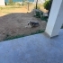 Ömürlük Yuvasını Arıyor fotoğraf