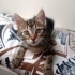 MİNİK KIZA ÖMÜRLÜK YUVA fotoğraf