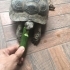 Çift kara kablumbağası fotoğraf