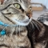 Tam bir sevgi çoçuğu anlayabilenlere tabi fotoğraf
