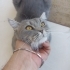 1 yaşında uysal fotoğraf