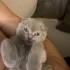 MİNÇ İÇİN YUVA ARIYORUZ fotoğraf