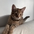 Evin oyuncusu huzuru güzel bir bebek fotoğraf