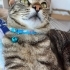 Sevgi böcüğü bir masum tam bir asalet kendi gibi aslaletli aile fotoğraf