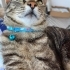Sevgi böcüğü bir masum tam bir asalet kendi gibi aslaletli aile fotoğraf