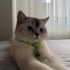 Mia hanıma ömürlük yuva arıyoruz fotoğraf