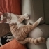 ACİL UYSAL ÇOCUĞA YUVA fotoğraf