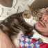 10 aylık british 3 renkli erkek kedi fotoğraf
