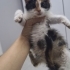 Annesiz bal çocuğa acil yuva lütfen fotoğraf