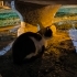 Görmeyen gözüm olur musunuz fotoğraf