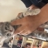 DÜNYANIN EN TATLI YAVRUSU TOFİ fotoğraf