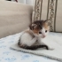Ailesi olurmusunuz fotoğraf
