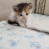 Ailesi olurmusunuz fotoğraf